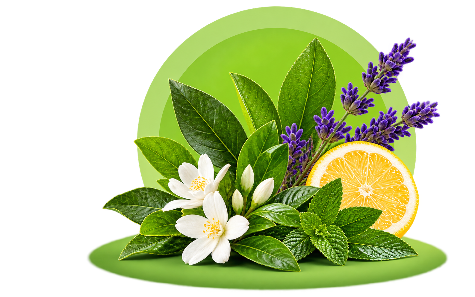 Essential Oil Manufacturers in Delhi