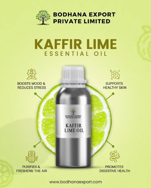 Kaffir Lime Manufacturers Delhi -India 
