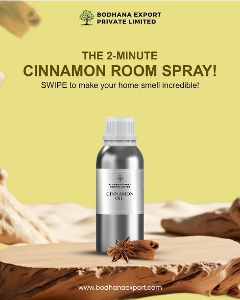 Cinnamon Room Spary in India