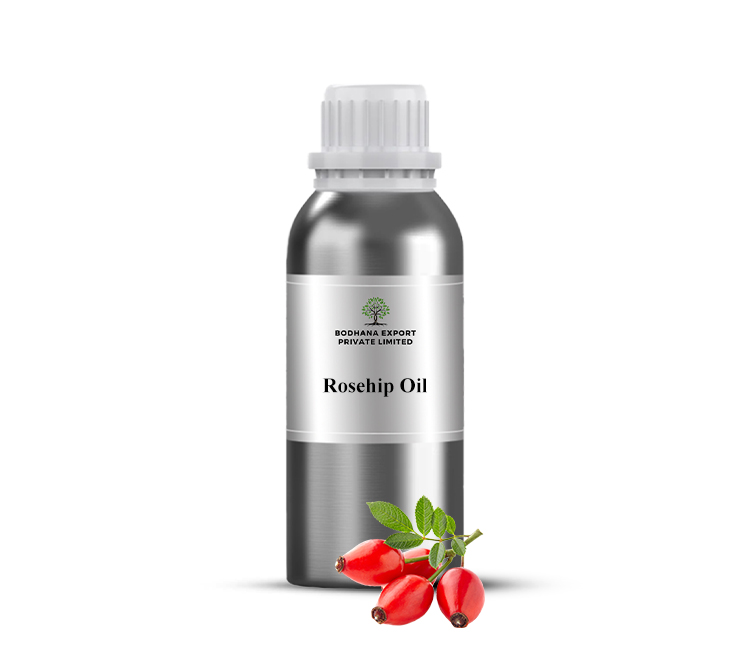 Rosehip Oil Importer And Manufacturers In India