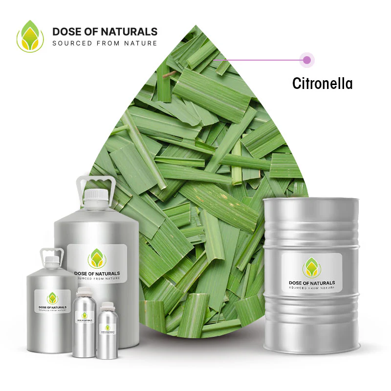Citronella Oil