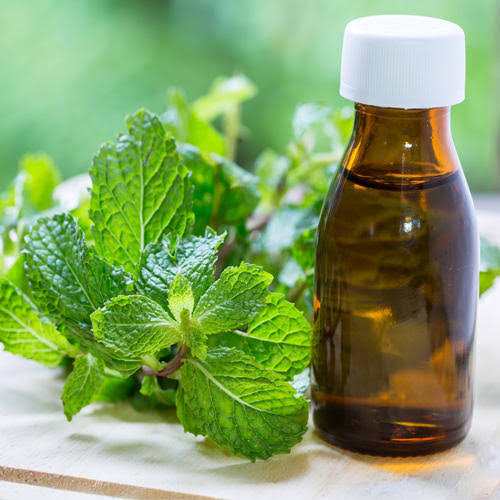 Mentha Oil
