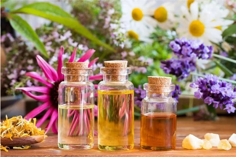 Fragrance Oils